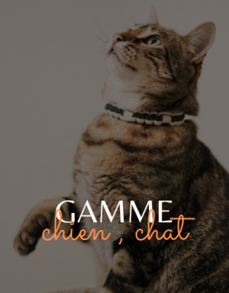 Gamme chien & chat